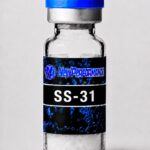 SS-31